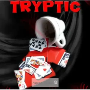 Tryptic by Ali Nouira