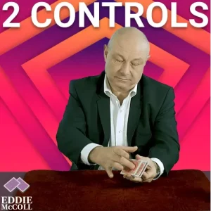Two Controls by Eddie Mccoll