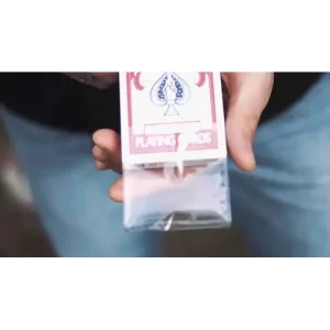 Uncatchable by Olivier Pont