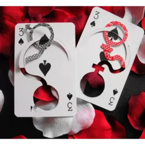 Unmogliche Faltungen 1- German Language