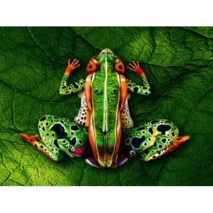 Use Your Illusions by Bazz