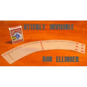Utterly Invisible by Rob Ellinger