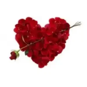 Valentine by Dynamite