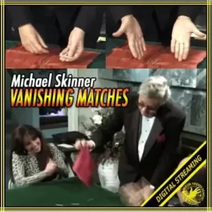 Vanishing Matches by Michael Skinner