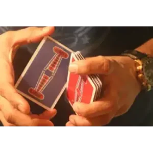 Vertigo by Vivek Singhi