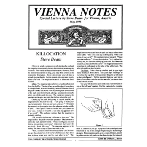 Vienna Notes by Steve Beam