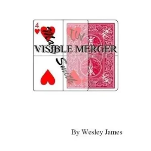 Visible Merger by Wesley James