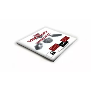 Visionary 3.0 by Stephen E Young