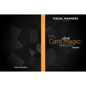 Visual Madness by Creative Artists