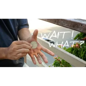 Wait! What? Blinking Coin by Rogelio Mechilina