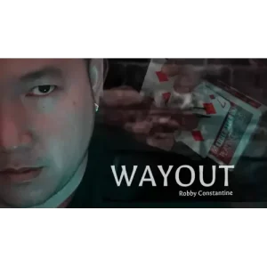 Wayout by Robby Constantine