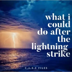 What I Could Do After The Lightning Strike by Steve Wachner