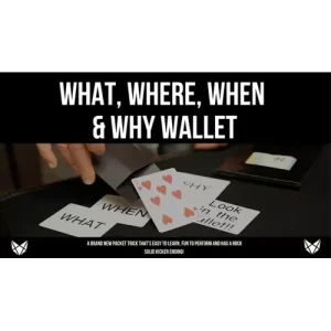 What, Where, When and Why by Vulpine