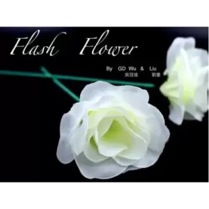 White Flash Flower by Gd Wu