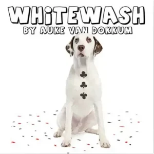 Whitewash by Auke van Dokkum