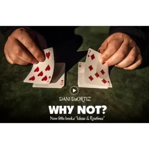 Why Not by Dani Daortiz