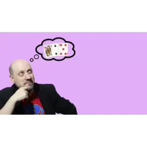 Woody On Stebbins Vol 4 by Woody Aragon