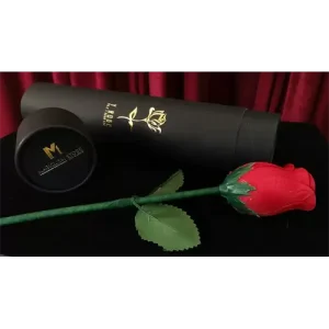 Y-Rose by Mr. Y & Bond Lee