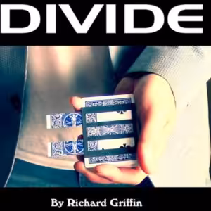 Divide by Richard Griffin