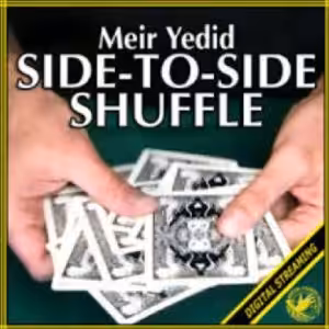 Side-To-Side Shuffle by Meir Yedid