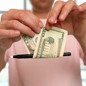 Misled Pen by Timothy Wenk