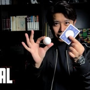 Ball on Card by Bond