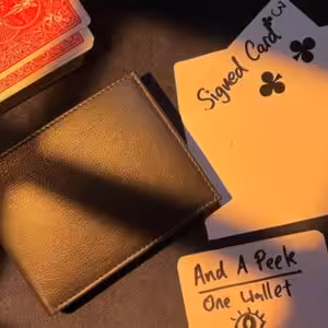 Virtuoso Wallet by Gerard Kearney