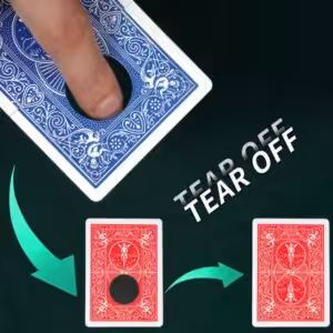 Color-changing black hole by WZ