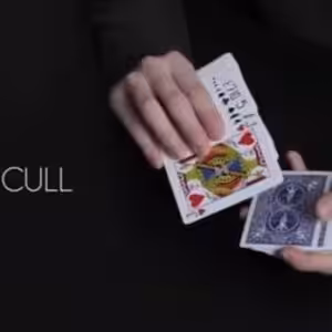 The Cull by Dennis Kim