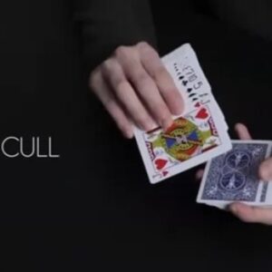 The Cull by Dennis Kim