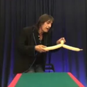 Jean PHILIPPE – Live Conference UMI Project