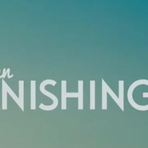 Wayne Goodman – The Vanishing Deck ®Alakazam