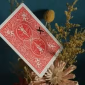 WZ – XX Writing Moving