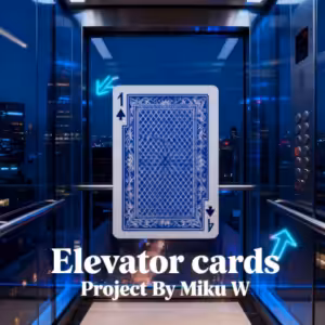 Elevator cards Project By Miku W