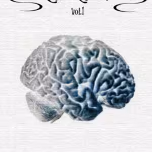 MindHavens vol.1 – What you have been looking for