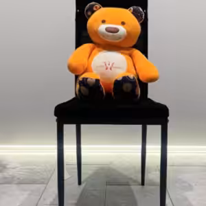 THE BEST CHAIR FOR APPEARANCE by Wonder Makers