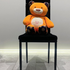 THE BEST CHAIR FOR APPEARANCE by Wonder Makers