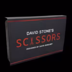 David Stone’s Scissors by David Sidelsky