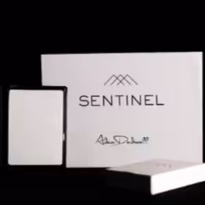 Sentinel by Adam Dadswell.