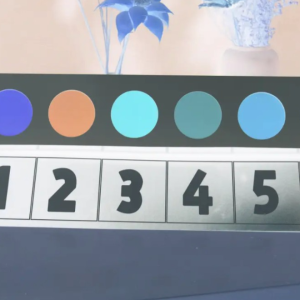 Heart Color Digital Prediction Board by WZ