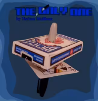 THE ONLY ONE by Nathan Mailloux