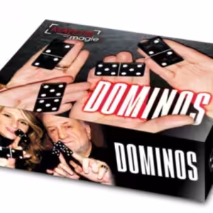 DOMINOS by dominique duvivier