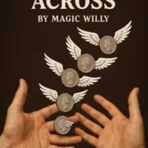 Simple Coins Across Online Lecture by Fuki