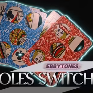 5 holes switcher by Ebbytones