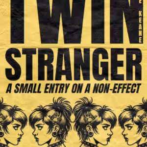 Twin Stranger by Jake Keane