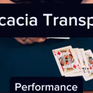 Acacia Transpo by Keito K
