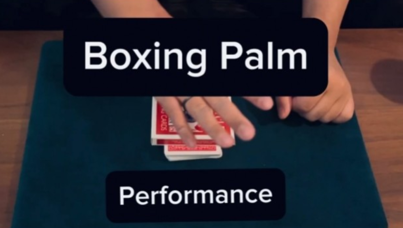 Boxing Palm by Keito K