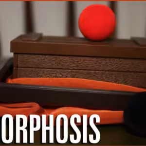 MINI MORPHOSIS ou LA MINI-MALLE DES INDES by Tenyo