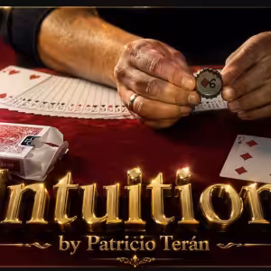 Intuition by Patricio Teran