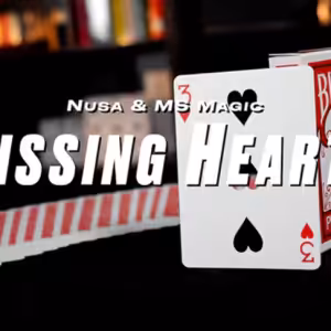 Missing Hearts by Nusa & MS Magic